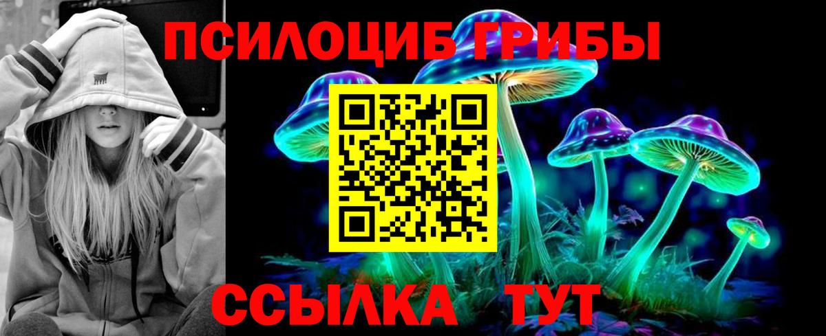 Псилоцибиновые грибы GOLDEN TEACHER Кировск