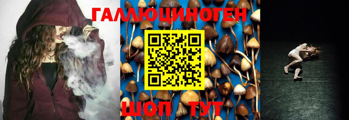Псилоцибиновые грибы MAGIC MUSHROOMS  Псилоцибиновые грибы MAGIC MUSHROOMS  Вход с VPN  купить закладку  Кировск 